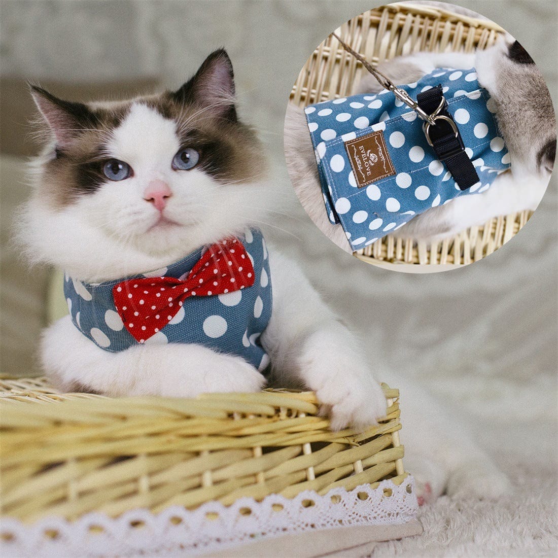 Katzengeschirr BOWIE Katzengeschirr SET mit Leine – Sicher, süß &amp; bequem für stilvolle Katzen Blue Dots / S