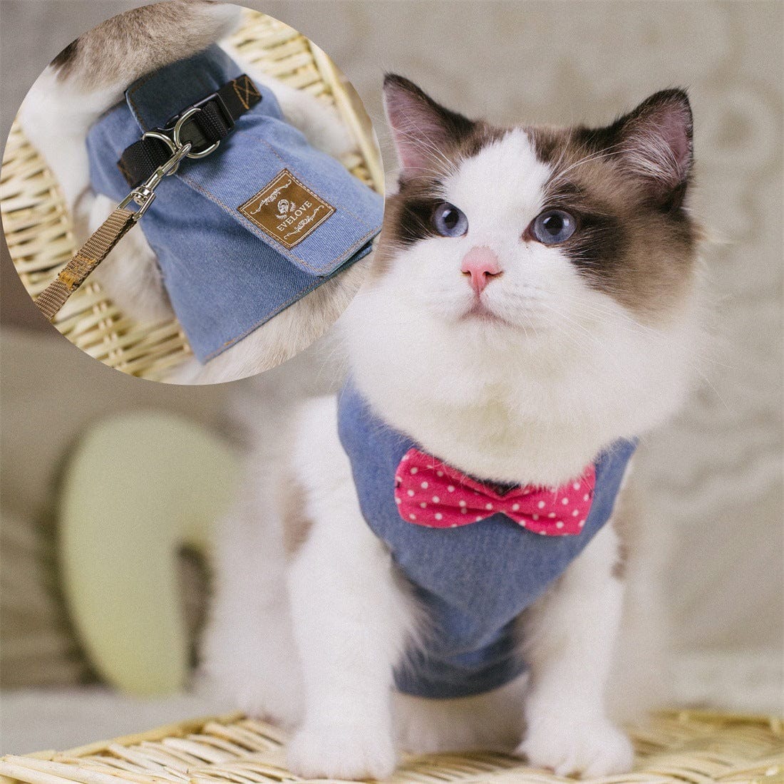Katzengeschirr BOWIE Katzengeschirr SET mit Leine – Sicher, süß &amp; bequem für stilvolle Katzen Jeans / S