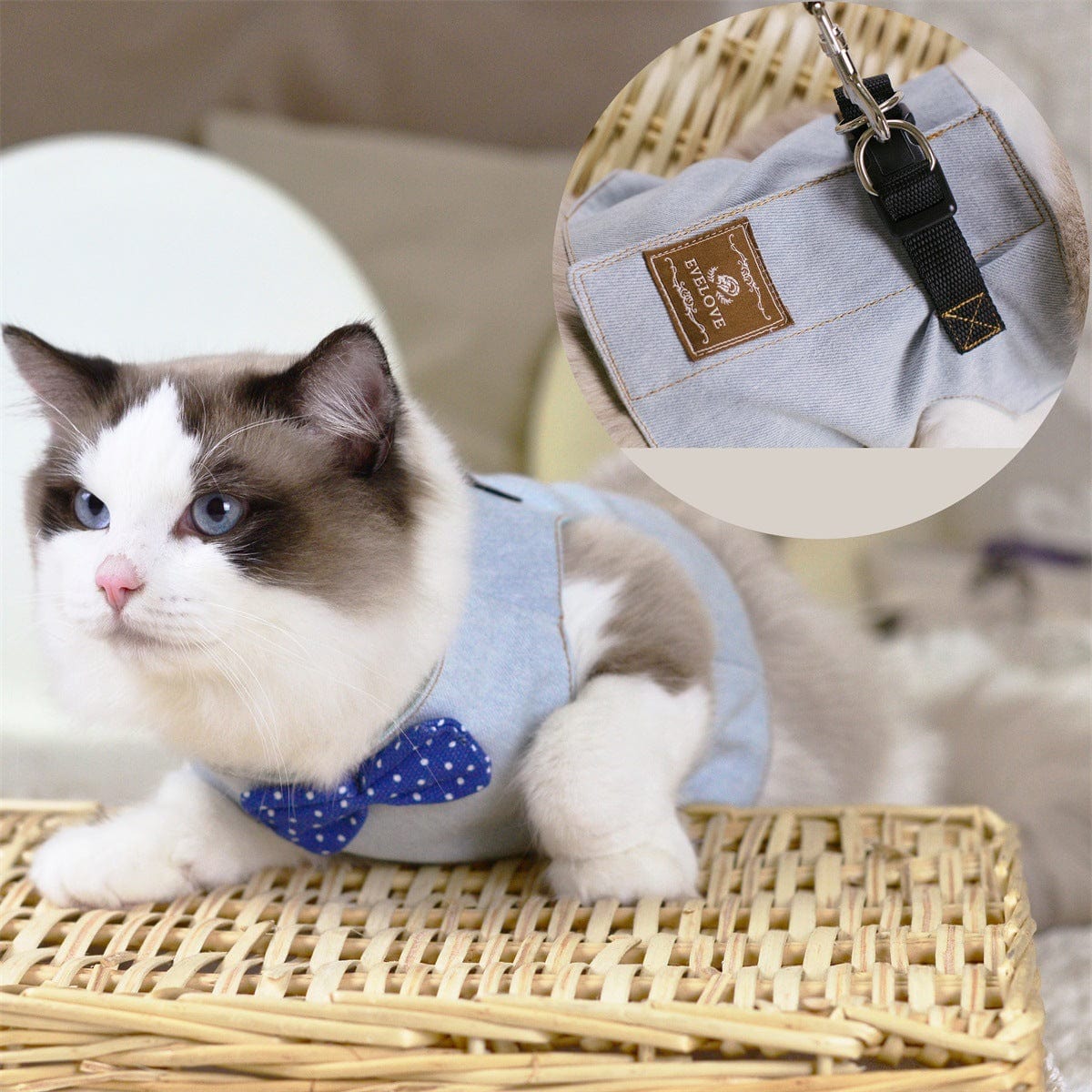 Katzengeschirr BOWIE Katzengeschirr SET mit Leine – Sicher, süß &amp; bequem für stilvolle Katzen Light Jeans / S