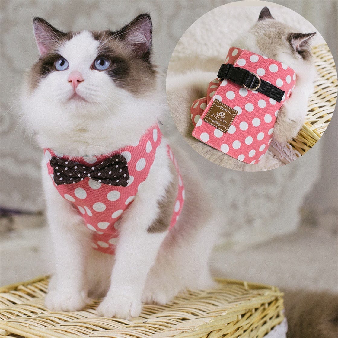 Katzengeschirr BOWIE Katzengeschirr SET mit Leine – Sicher, süß &amp; bequem für stilvolle Katzen Pink Dots / S