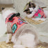 Katzengeschirr BOWIE Katzengeschirr SET mit Leine – Sicher, süß & bequem für stilvolle Katzen Sugar / S