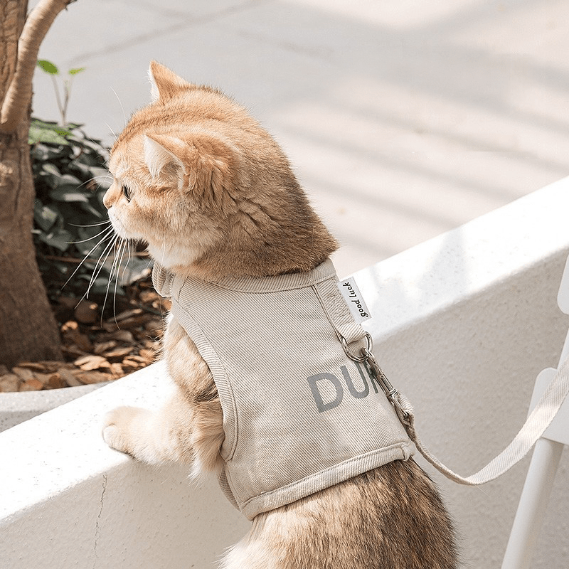 Katzengeschirr DURI Atmungsaktives Katzengeschirr mit Leine 1,4m