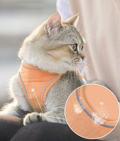 Katzengeschirr HAZEL Katzengeschirr mit Leine SET  – Verstellbar, Sicher &amp; Bequem