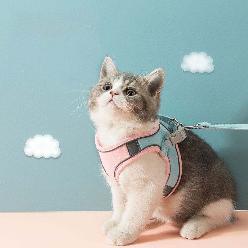 Katzengeschirr HAZEL Katzengeschirr mit Leine SET  – Verstellbar, Sicher &amp; Bequem