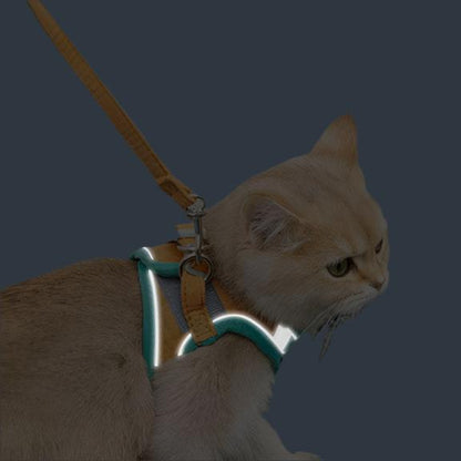 Katzengeschirr HAZEL Katzengeschirr mit Leine SET  – Verstellbar, Sicher &amp; Bequem