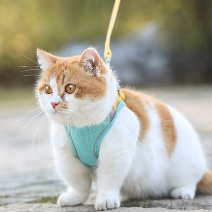 Katzengeschirr HAZEL Katzengeschirr mit Leine SET  – Verstellbar, Sicher &amp; Bequem Green / XS