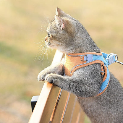 Katzengeschirr HAZEL Katzengeschirr mit Leine SET  – Verstellbar, Sicher &amp; Bequem Orange / XS