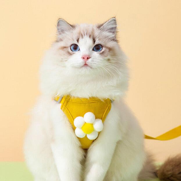 Katzengeschirr LUCKY Anti-Ausbruch Katzengeschirr SET – Leicht &amp; atmungsaktiv