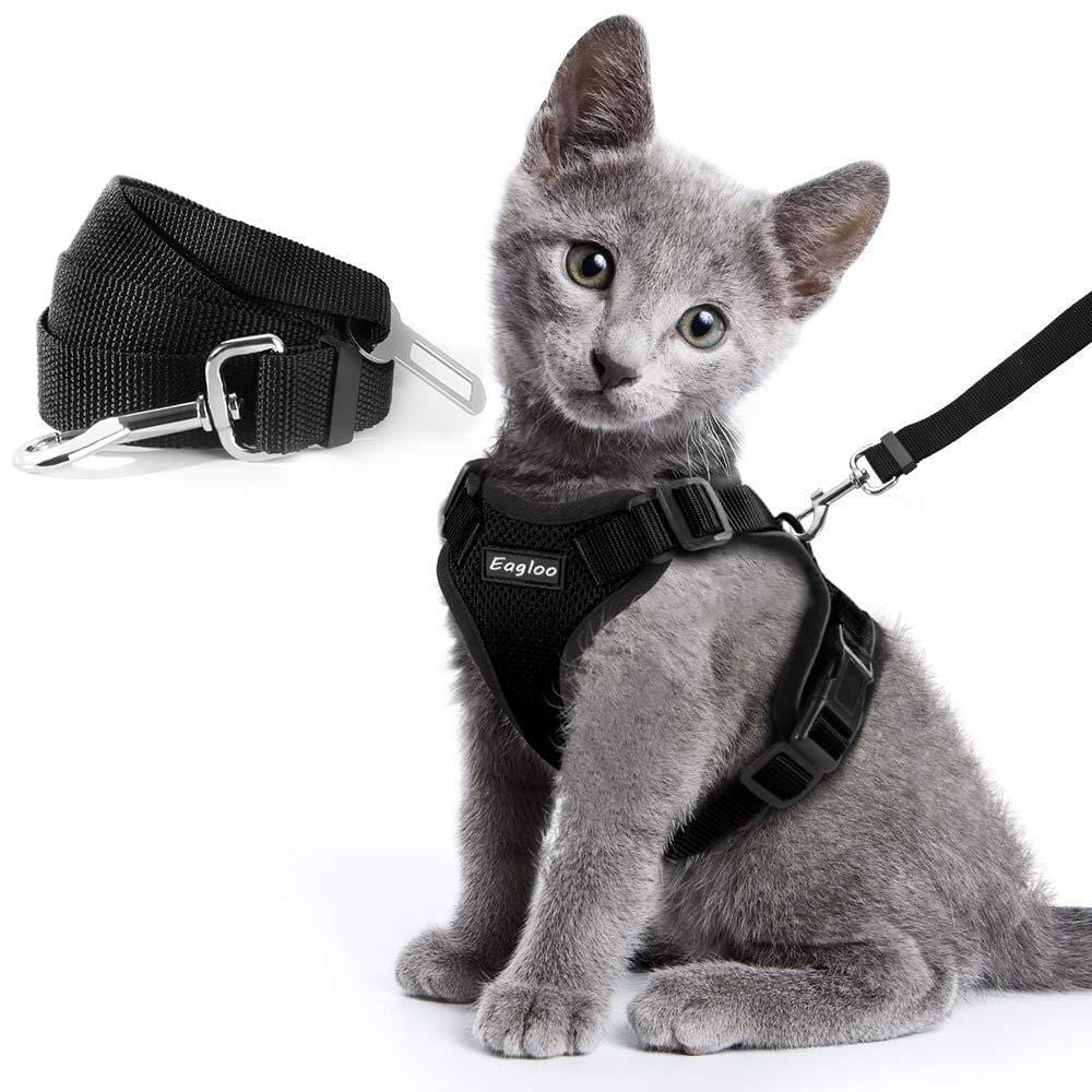 Katzengeschirr MANOLO Leichtes Katzen-Brustgeschirr mit 1,5 m Leine Black / XS