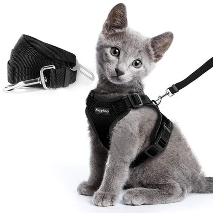 Katzengeschirr MANOLO Leichtes Katzen-Brustgeschirr mit 1,5 m Leine Black / XS