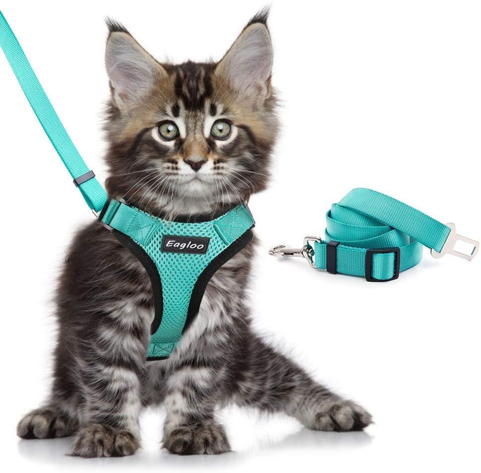 Katzengeschirr MANOLO Leichtes Katzen-Brustgeschirr mit 1,5 m Leine Green / XS