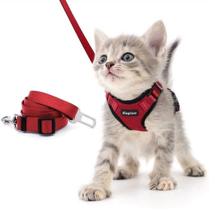 Katzengeschirr MANOLO Leichtes Katzen-Brustgeschirr mit 1,5 m Leine Red / XS