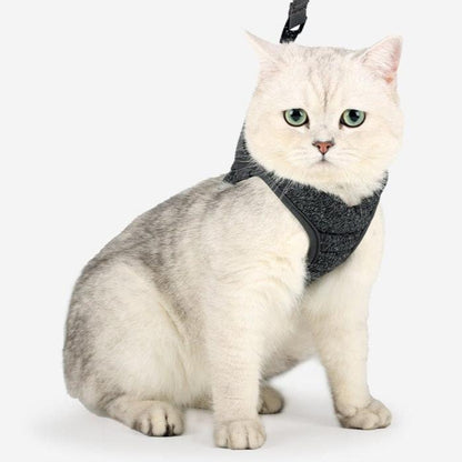 Katzengeschirr WALKIE Leichtes Katzen-Outdoor-Geschirr mit Leine – Verstellbar &amp; Atmungsaktiv