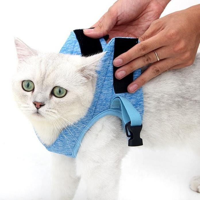 Katzengeschirr WALKIE Leichtes Katzen-Outdoor-Geschirr mit Leine – Verstellbar &amp; Atmungsaktiv