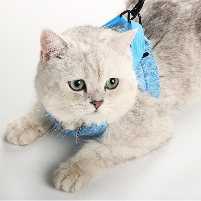 Katzengeschirr WALKIE Leichtes Katzen-Outdoor-Geschirr mit Leine – Verstellbar &amp; Atmungsaktiv