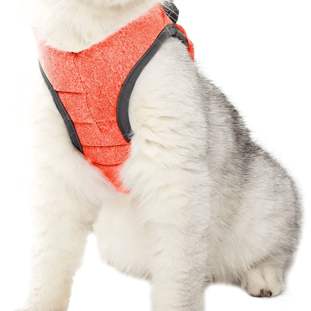 Katzengeschirr WALKIE Leichtes Katzen-Outdoor-Geschirr mit Leine – Verstellbar &amp; Atmungsaktiv