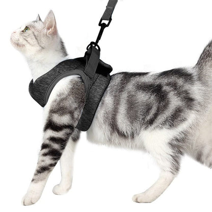 Katzengeschirr WALKIE Leichtes Katzen-Outdoor-Geschirr mit Leine – Verstellbar &amp; Atmungsaktiv Black / S