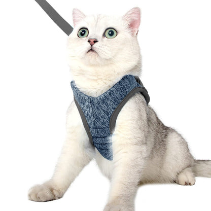 Katzengeschirr WALKIE Leichtes Katzen-Outdoor-Geschirr mit Leine – Verstellbar &amp; Atmungsaktiv Night / S