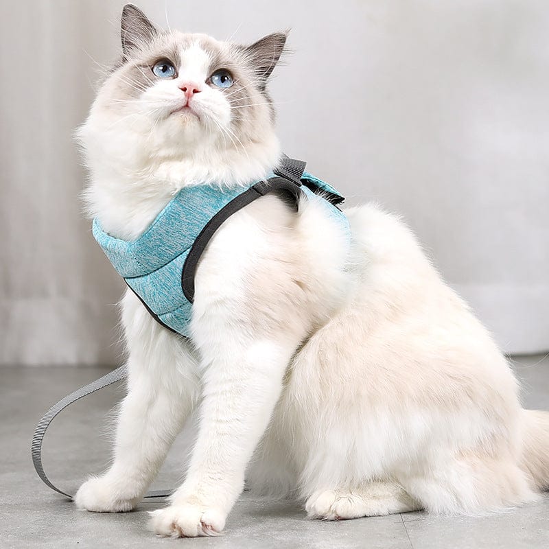 Katzengeschirr WALKIE Leichtes Katzen-Outdoor-Geschirr mit Leine – Verstellbar &amp; Atmungsaktiv Ocean / S
