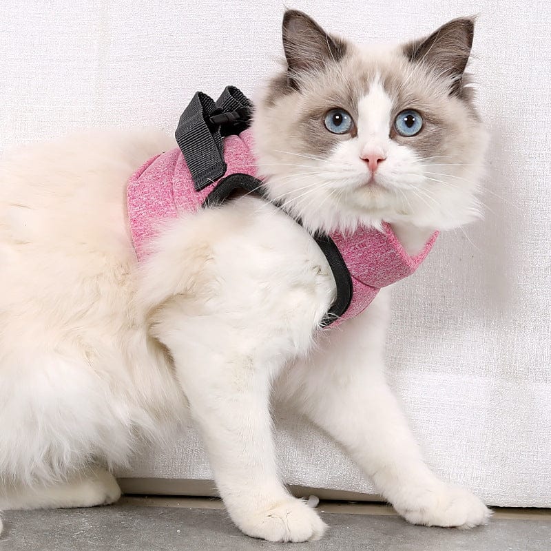 Katzengeschirr WALKIE Leichtes Katzen-Outdoor-Geschirr mit Leine – Verstellbar &amp; Atmungsaktiv Pink / S