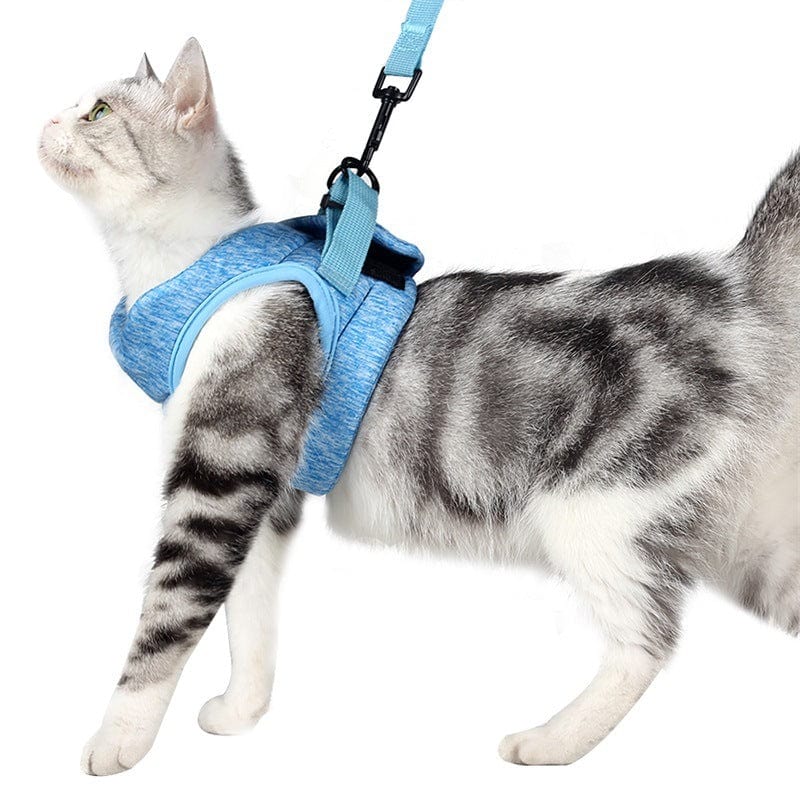 Katzengeschirr WALKIE Leichtes Katzen-Outdoor-Geschirr mit Leine – Verstellbar &amp; Atmungsaktiv Sky / S