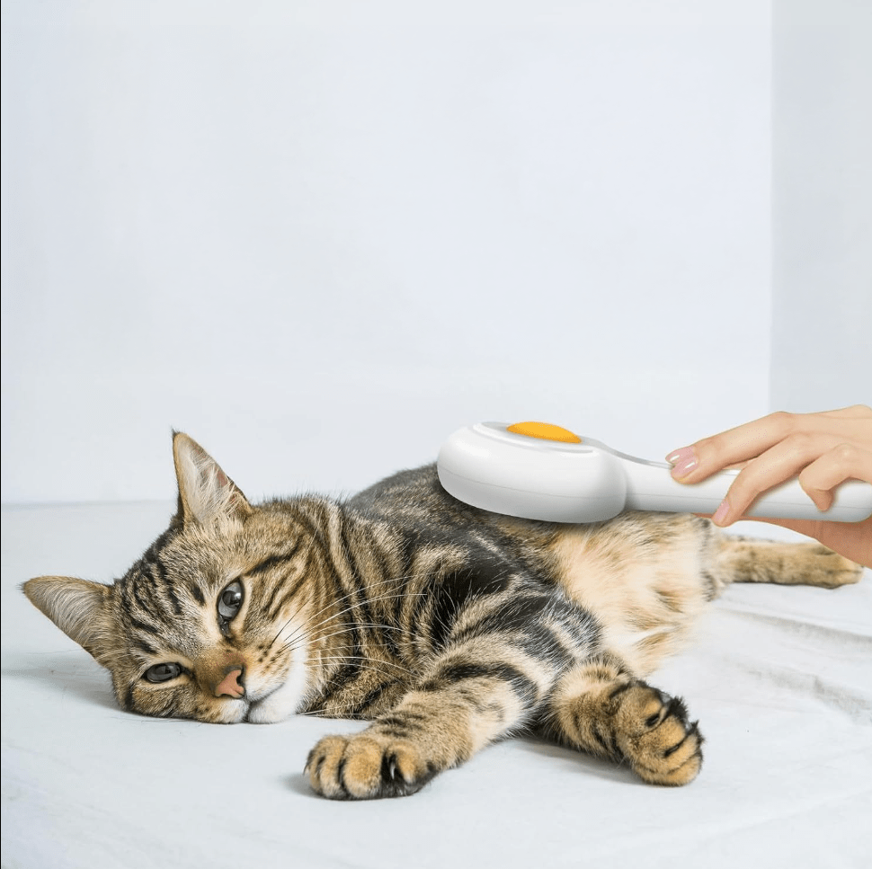 Katzenhaarbürste YOLK Katzenhaarbürste mit Entfernungsbutton – Grooming für gesundes, glänzendes Fell