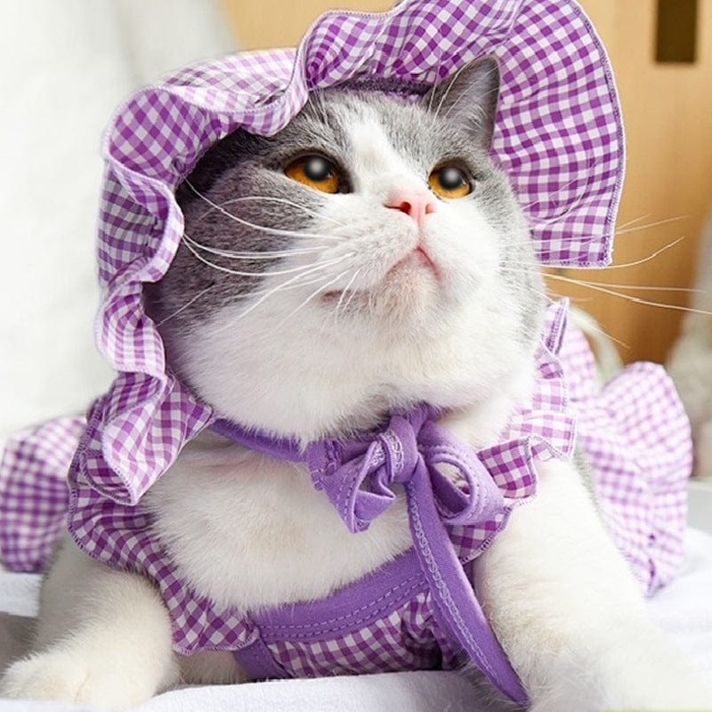 Katzenkleid MRS. SUN Katzen-Sommermode