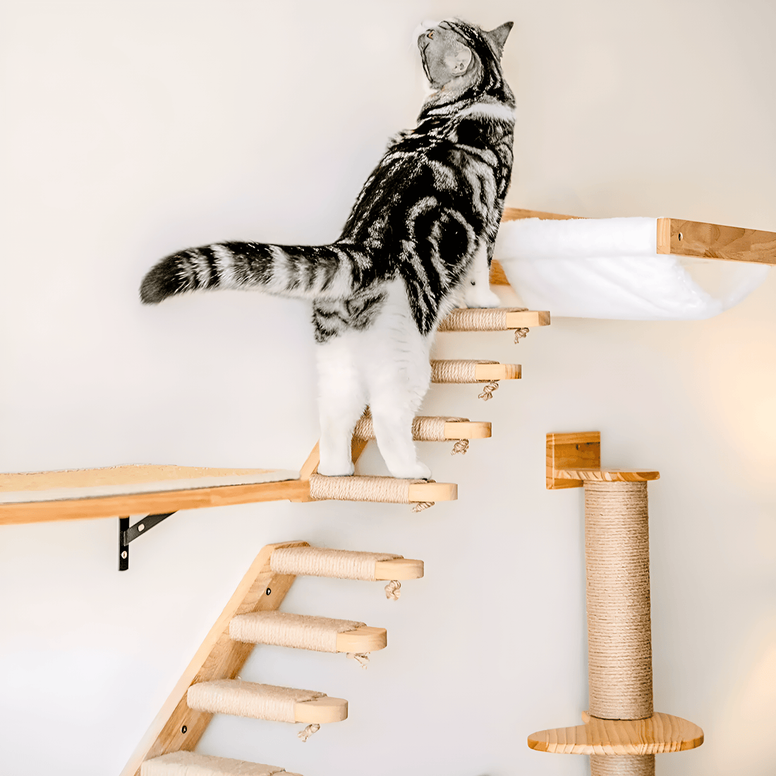 Katzenleiter CLIMB Wandmontierte Katzenleiter – Stilvoller Kletterspaß für deine Katze