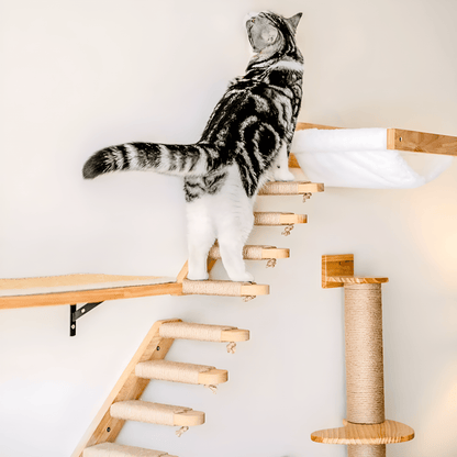 Katzenleiter CLIMB Wandmontierte Katzenleiter – Stilvoller Kletterspaß für deine Katze