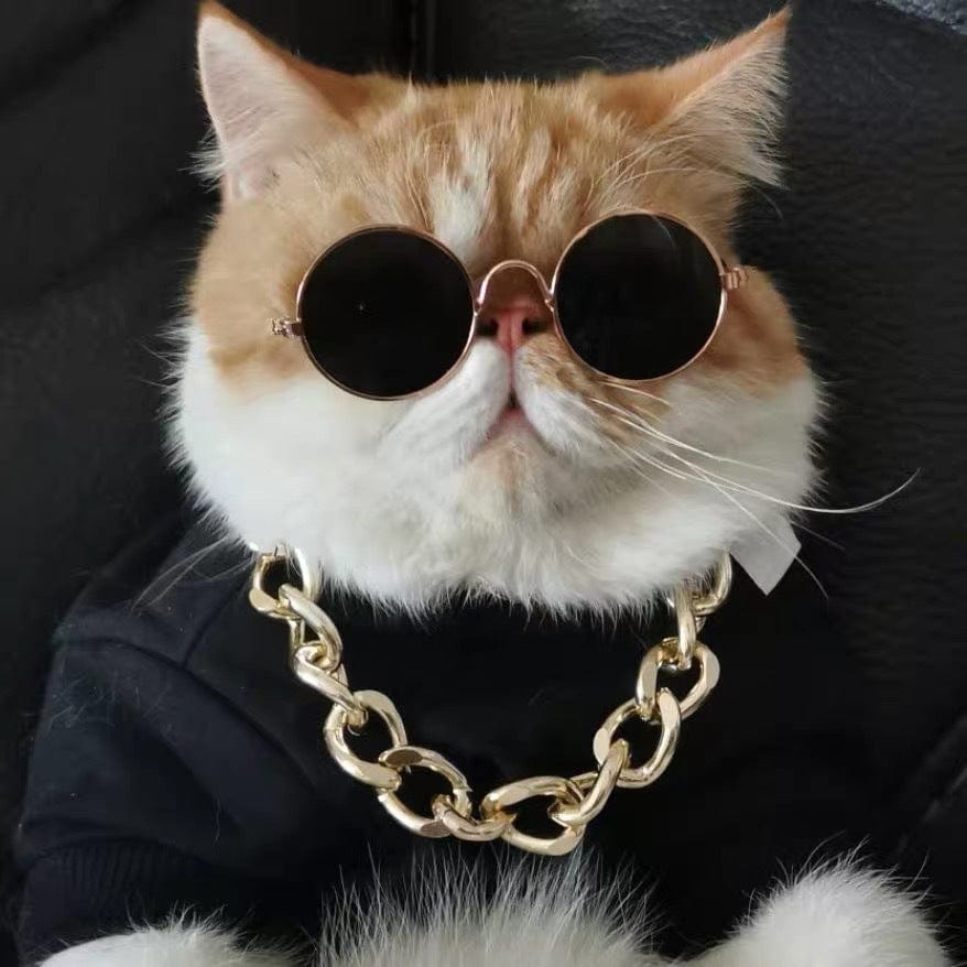 Katzenmode SUNNY Lustige Sonnenbrille - Spaßige Requisiten für Fotoshooting