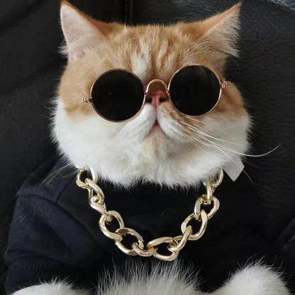 Katzenmode SUNNY Lustige Sonnenbrille - Spaßige Requisiten für Fotoshooting