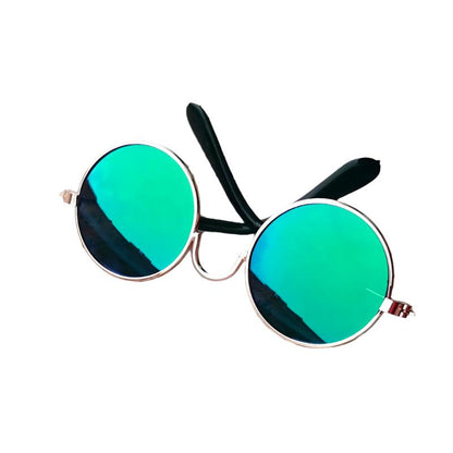 Katzenmode SUNNY Lustige Sonnenbrille - Spaßige Requisiten für Fotoshooting Green