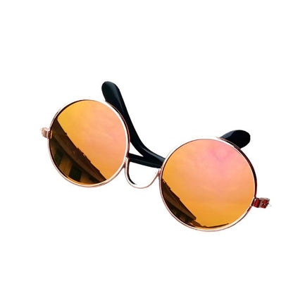 Katzenmode SUNNY Lustige Sonnenbrille - Spaßige Requisiten für Fotoshooting Orange
