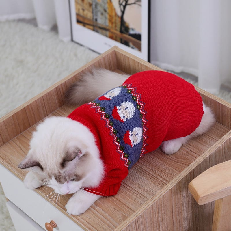 Katzenpullover CAROL Kuscheliger Weihnachts-Pullover für kleine Haustiere