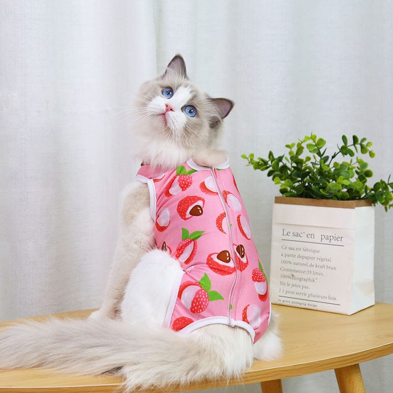 Katzenpullover CURE Kastration Weicher OP-Anzug Lychee / S