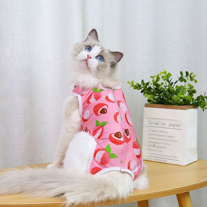 Katzenpullover CURE Kastration Weicher OP-Anzug Lychee / S