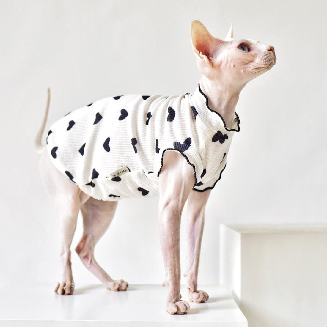Katzenpullover SPHYNX Süßer Herz-Muster-Pullover für Sphynx &amp; Devon-Rex Katzen