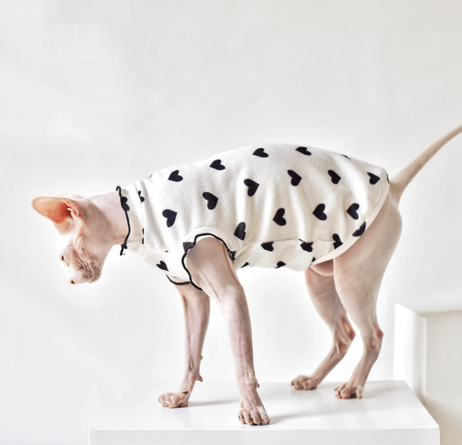 Katzenpullover SPHYNX Süßer Herz-Muster-Pullover für Sphynx &amp; Devon-Rex Katzen