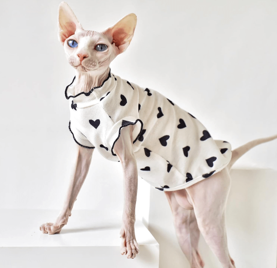 Katzenpullover SPHYNX Süßer Herz-Muster-Pullover für Sphynx &amp; Devon-Rex Katzen