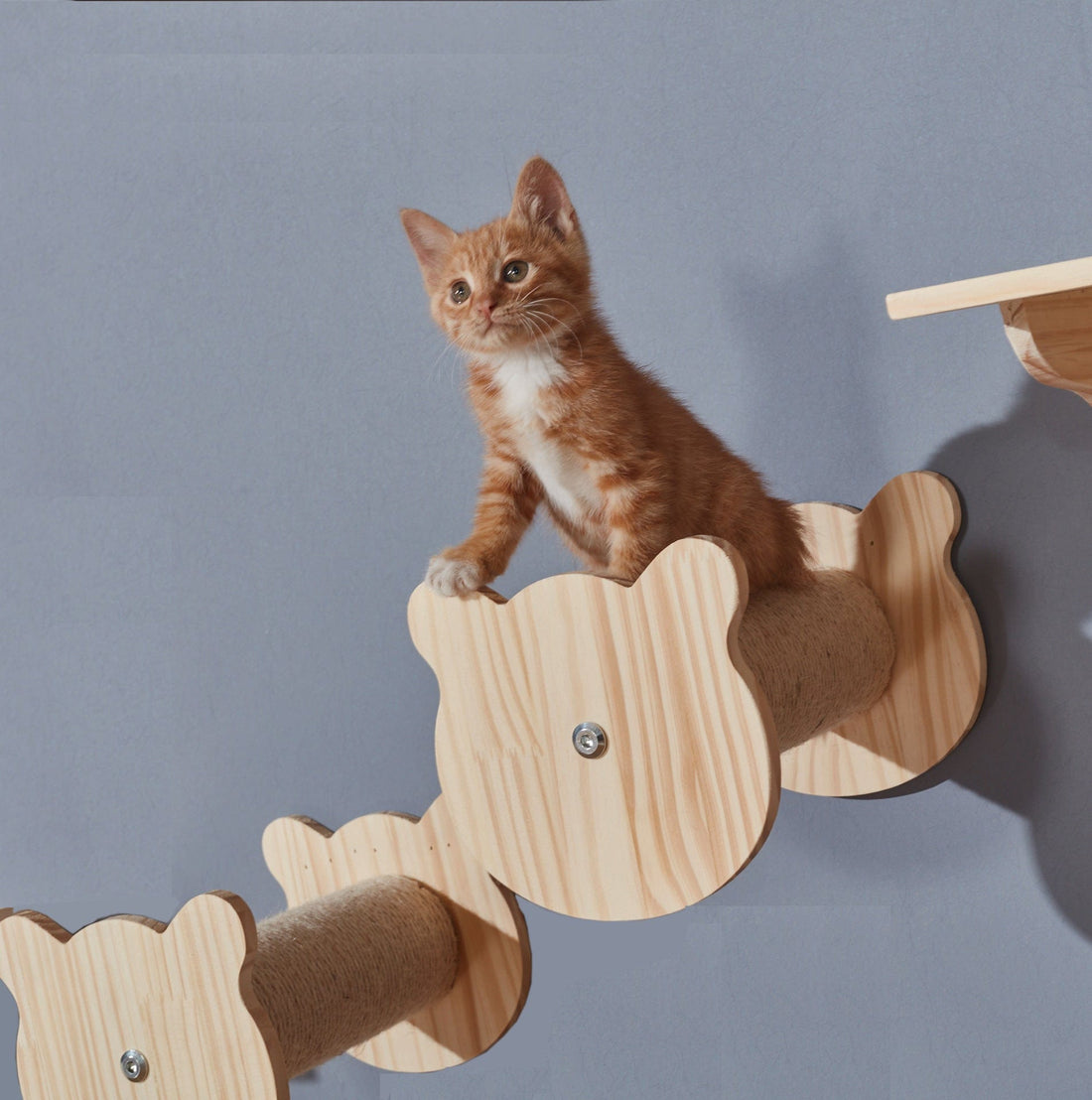 Kletterwand DIY Katzen-Kletterwand – Modularer Spaß für dein Zuhause 2