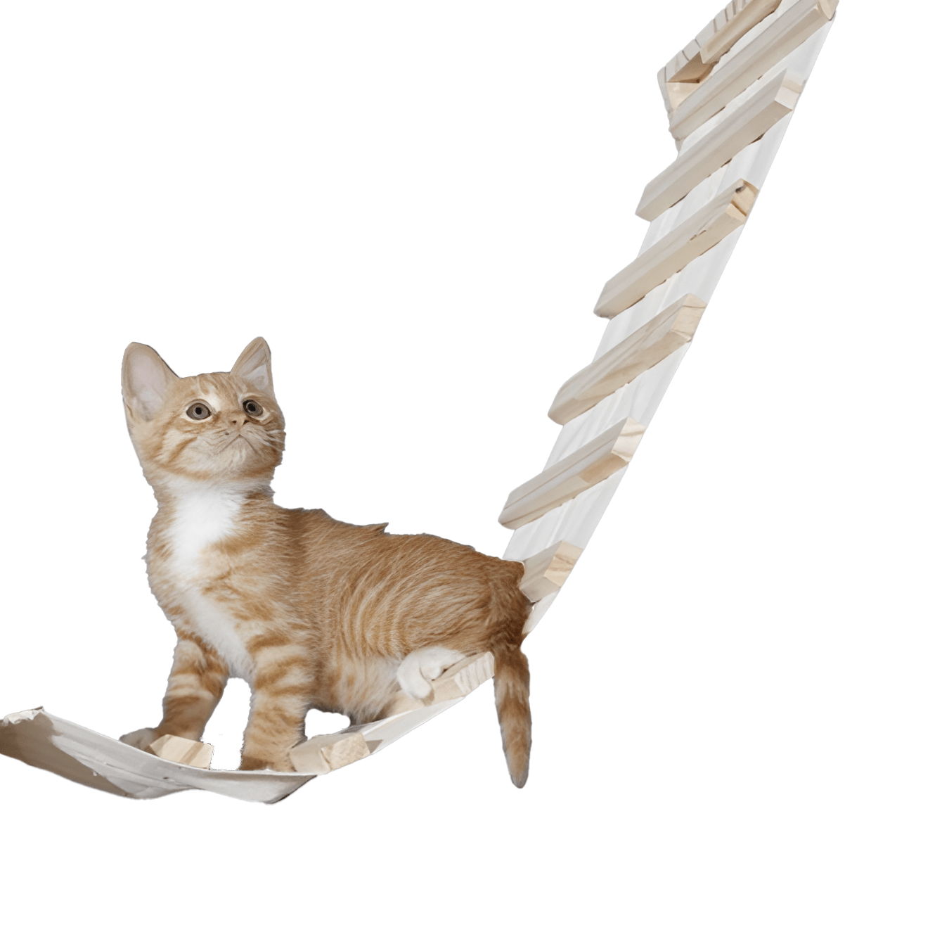 Kletterwand DIY Katzen-Kletterwand – Modularer Spaß für dein Zuhause 6