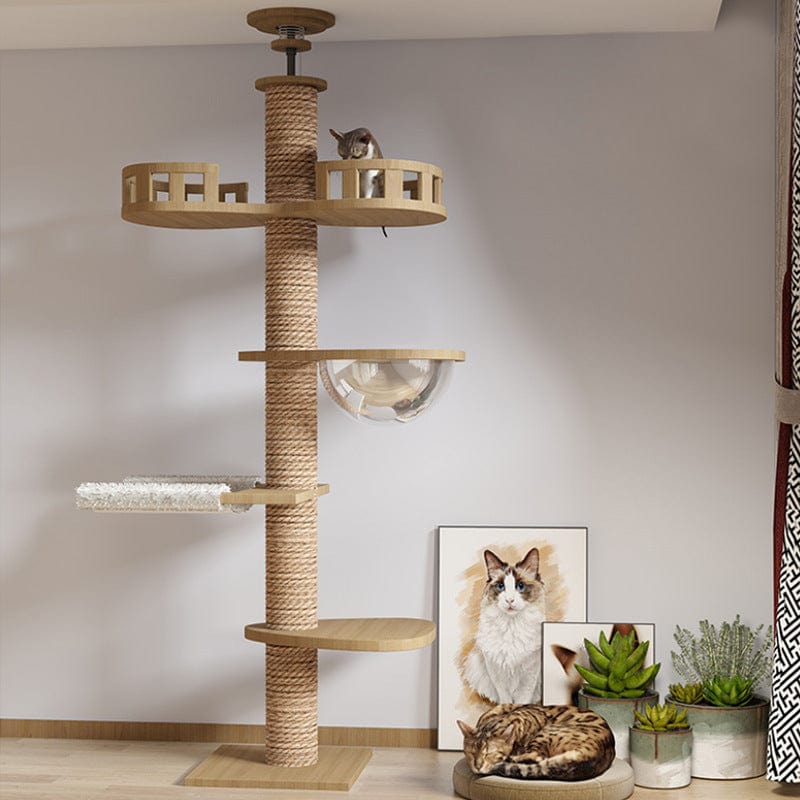 Kratzbaum TIGER Massivholz-Katzenmöbel - Individuell Kombinierbar Hi 6