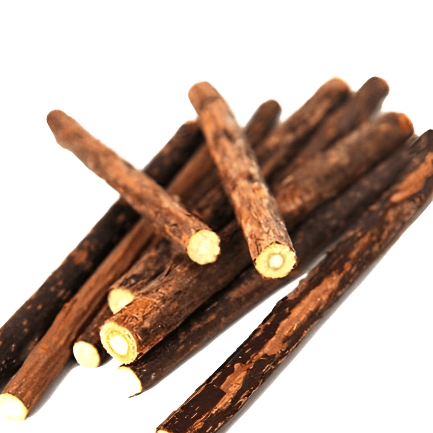 Zahnpflege CHEWY Matatabi-Sticks – Natürliche Zahnpflege &amp; Spielspaß